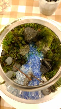 カルチャースクールいろはに投稿された画像（2018/10/14）