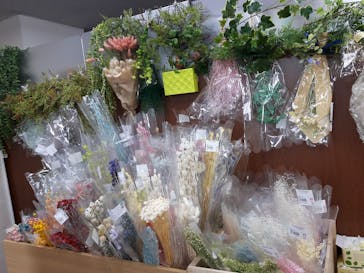 ずこうしつ〜sugamo〜に投稿された画像（2018/11/17）