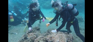 ドロップイン 沖縄に投稿された画像（2019/3/23）