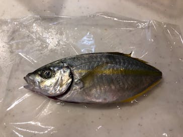 With Ocean（ウィズオーシャン）に投稿された画像（2018/12/14）