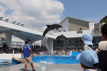 九十九島水族館海きららに投稿された画像（2018/8/20）