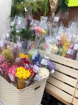 ずこうしつ〜sugamo〜に投稿された画像（2018/12/9）