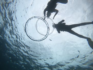 武藤潜水に投稿された画像（2019/6/10）