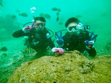 武藤潜水に投稿された画像（2019/6/8）