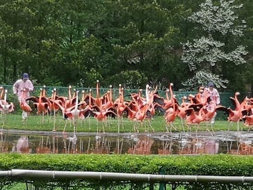 東北サファリパークに投稿された画像（2019/6/10）