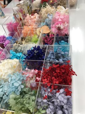 ずこうしつ〜sugamo〜に投稿された画像（2019/6/12）