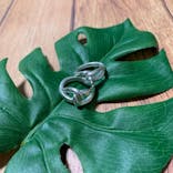 銀のイルカに投稿された画像（2019/6/12）