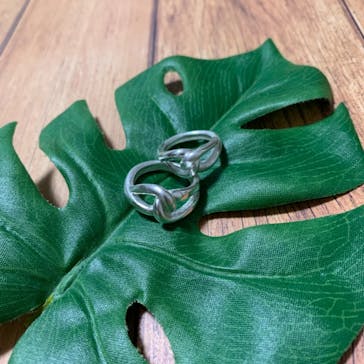 銀のイルカに投稿された画像（2019/6/12）