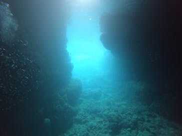 武藤潜水に投稿された画像（2019/6/14）