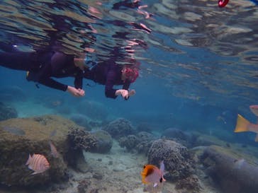 Sea.Mount.Daiv（シーマウントダイブ）に投稿された画像（2019/6/14）