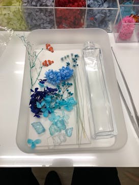 ずこうしつ〜sugamo〜に投稿された画像（2019/6/15）