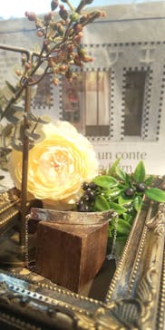 ビジュオペラ心斎橋ステューディオに投稿された画像（2019/6/15）