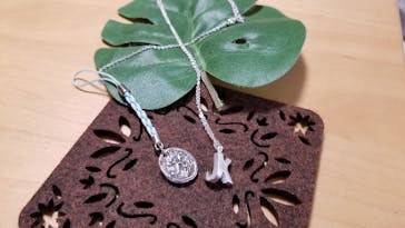 銀のイルカに投稿された画像（2019/6/15）