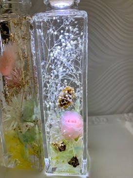 ずこうしつ〜sugamo〜に投稿された画像（2019/6/15）