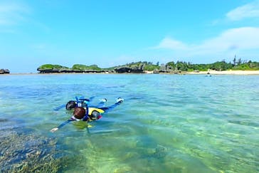 diving&workshop IHANASHI（ダイビングアンドワークショップイハナシ）に投稿された画像（2019/6/16）