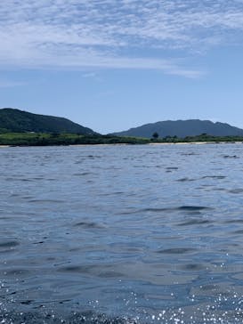 初心者専門店NEOMARINE石垣島に投稿された画像（2019/6/16）