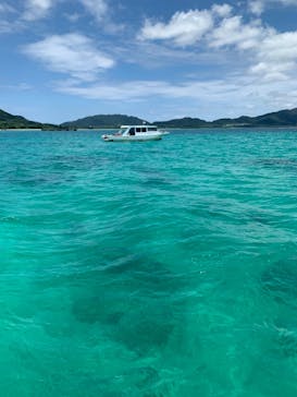 初心者専門店NEOMARINE石垣島に投稿された画像（2019/6/16）