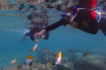 diving&workshop IHANASHI（ダイビングアンドワークショップイハナシ）に投稿された画像（2019/6/16）