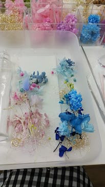 ずこうしつ〜sugamo〜に投稿された画像（2019/6/16）