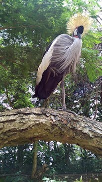 ネオパークオキナワに投稿された画像（2019/6/16）