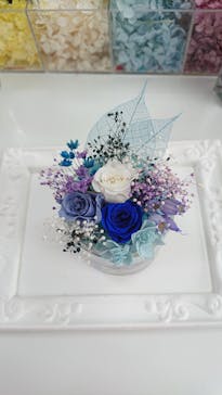 ずこうしつ〜sugamo〜に投稿された画像（2019/6/18）