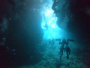 武藤潜水に投稿された画像（2019/6/19）