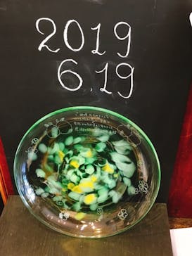 ちいさな硝子の本の博物館に投稿された画像（2019/6/19）