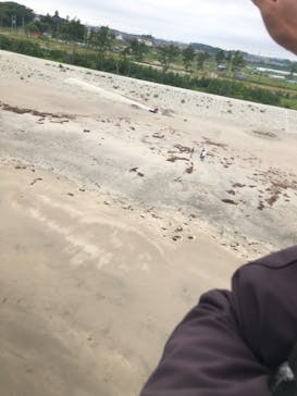 松島熱気球・パラグライダー体験に投稿された画像（2019/6/21）