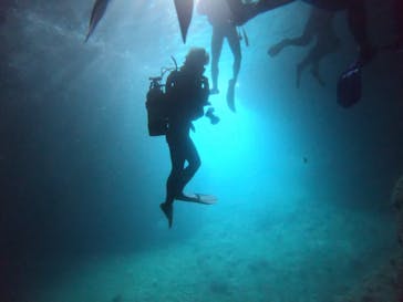 武藤潜水に投稿された画像（2019/6/21）