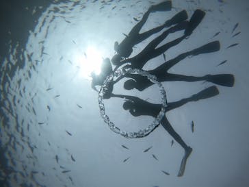 武藤潜水に投稿された画像（2019/6/21）