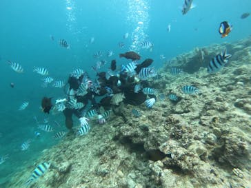 武藤潜水に投稿された画像（2019/6/21）