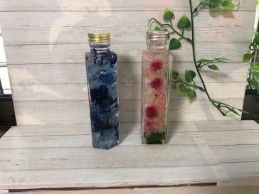 Y's calm feeling（ワイズカルムフィーリング）に投稿された画像（2019/6/21）