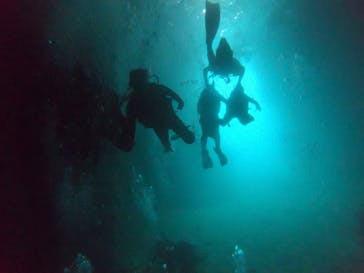 武藤潜水に投稿された画像（2019/6/22）