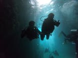武藤潜水に投稿された画像（2019/6/22）