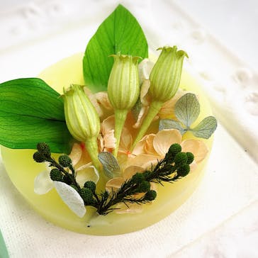 ずこうしつ〜sugamo〜に投稿された画像（2019/6/22）