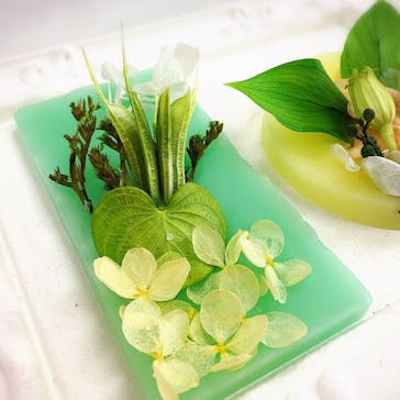 ずこうしつ〜sugamo〜に投稿された画像（2019/6/22）