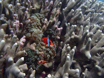 Sea World（シーワールド）に投稿された画像（2019/6/22）