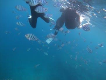 武藤潜水に投稿された画像（2019/6/23）