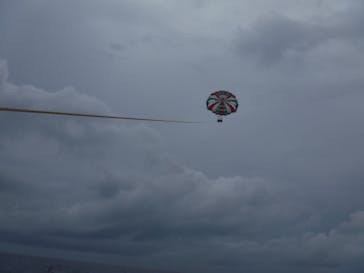 Sea World（シーワールド）に投稿された画像（2019/6/28）