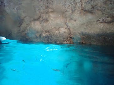 Sea.Mount.Daiv（シーマウントダイブ）に投稿された画像（2019/6/28）