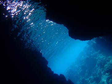 Sea.Mount.Daiv（シーマウントダイブ）に投稿された画像（2019/6/28）