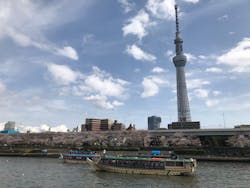 Bay Works Tokyo Fishing（ベイワークストウキョウフィッシング）に投稿された画像（2019/6/28）