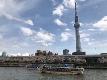 Bay Works Tokyo Fishing（ベイワークストウキョウフィッシング）に投稿された画像（2019/6/28）