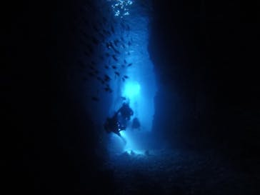 diving&workshop IHANASHI（ダイビングアンドワークショップイハナシ）に投稿された画像（2019/6/28）