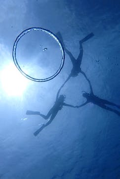 diving&workshop IHANASHI（ダイビングアンドワークショップイハナシ）に投稿された画像（2019/6/29）