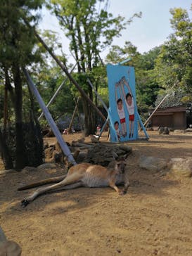 伊豆シャボテン動物公園に投稿された画像（2019/6/29）