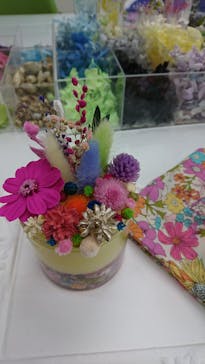 ずこうしつ〜sugamo〜に投稿された画像（2019/6/29）