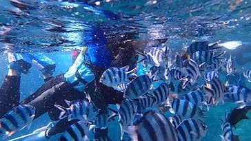 diving&workshop IHANASHI（ダイビングアンドワークショップイハナシ）に投稿された画像（2019/6/30）