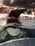すみだ水族館に投稿された画像（2019/6/30）