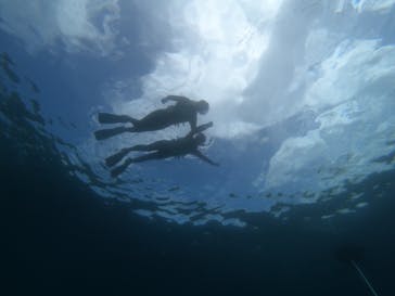 diving&workshop IHANASHI（ダイビングアンドワークショップイハナシ）に投稿された画像（2019/6/30）